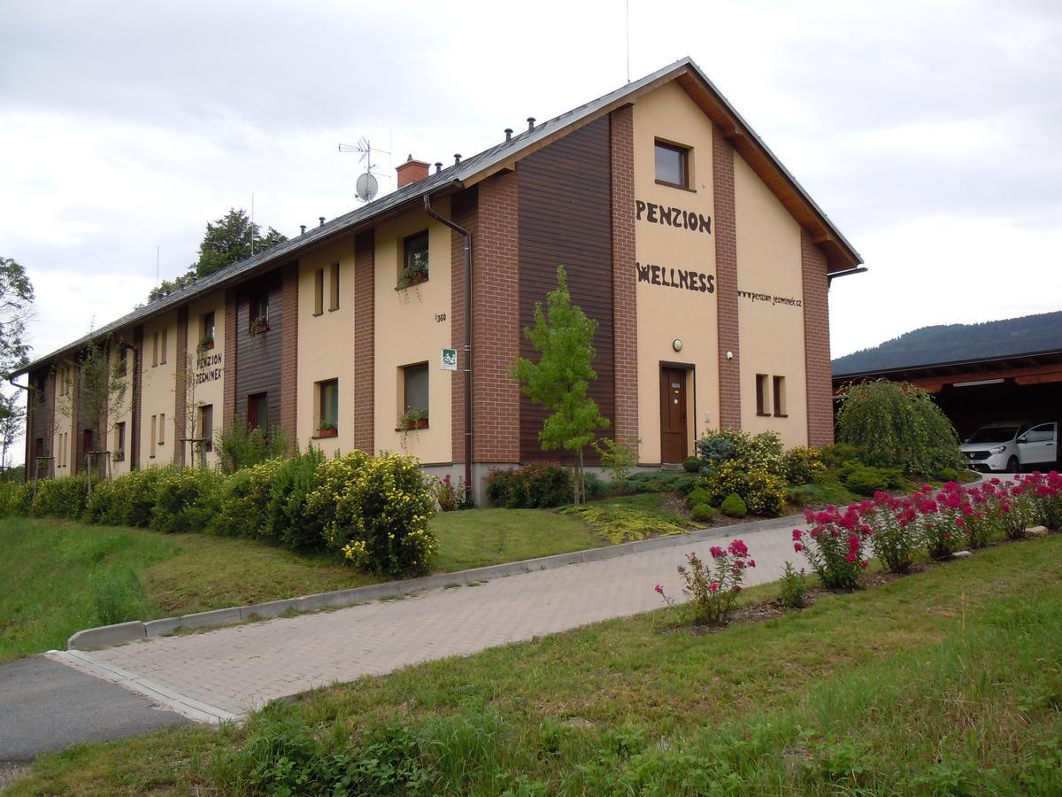 Penzion Jecminek Cervena Voda Luaran gambar